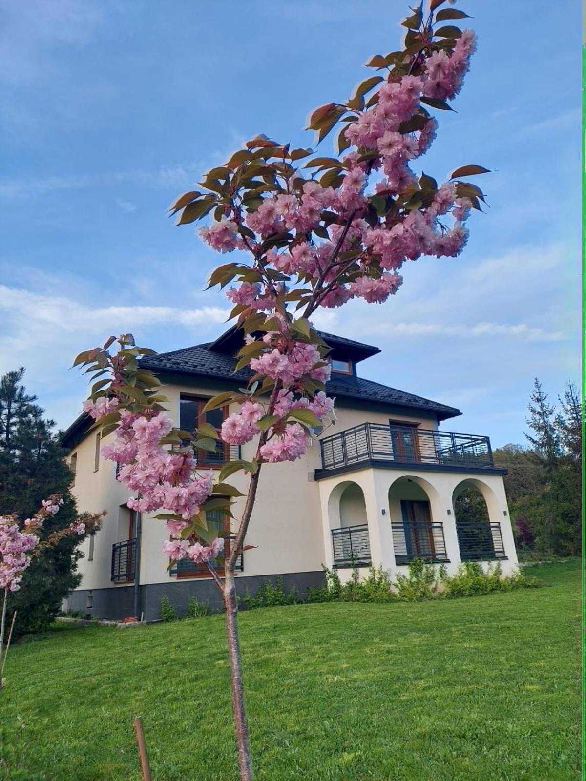 Apartamenty Brenna Klimorowka Luaran gambar